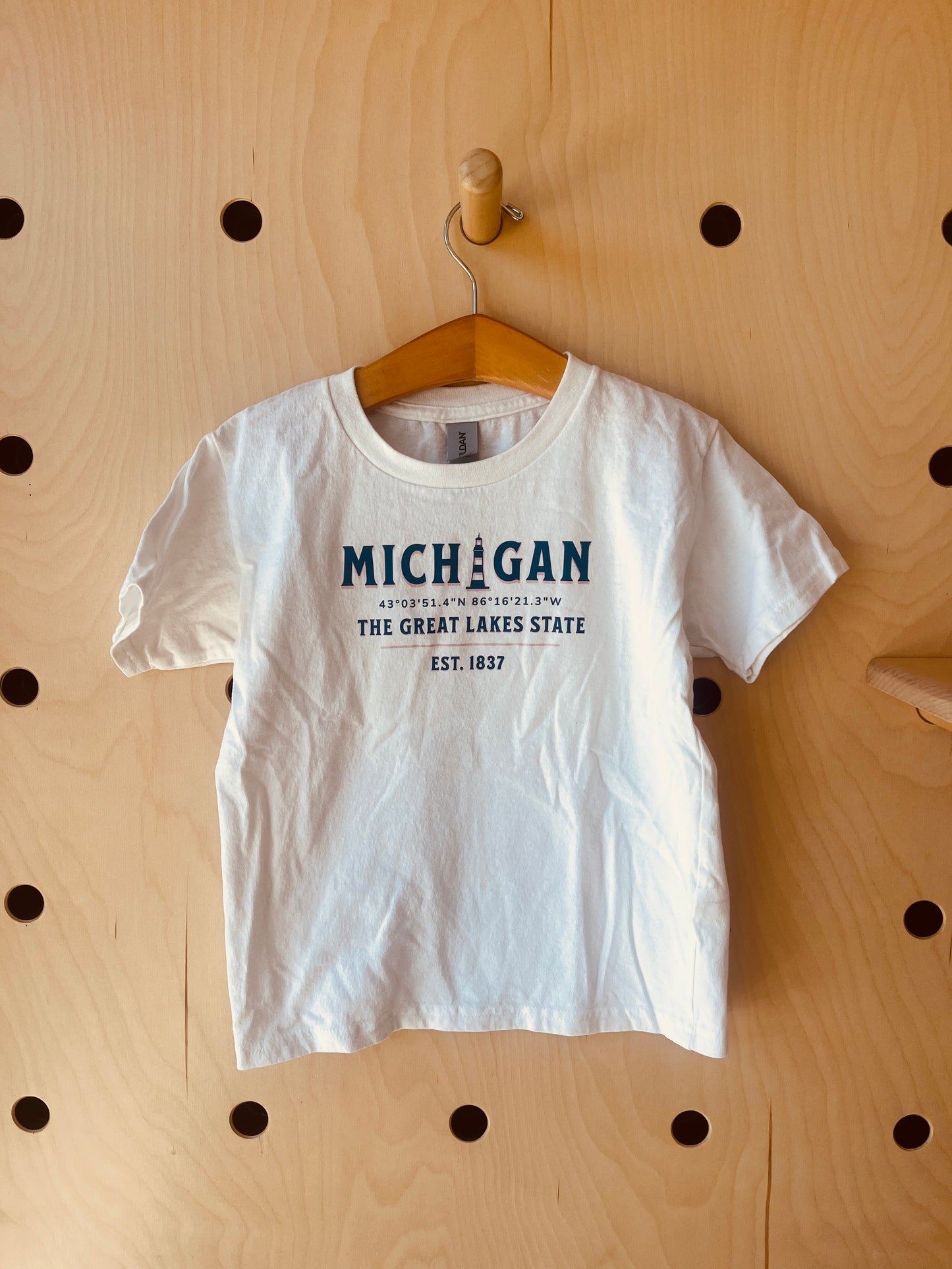 Michigan: The Great Lakes State T-Shirt